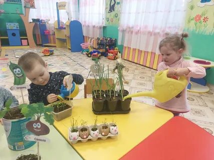 День эколят в ранней группе