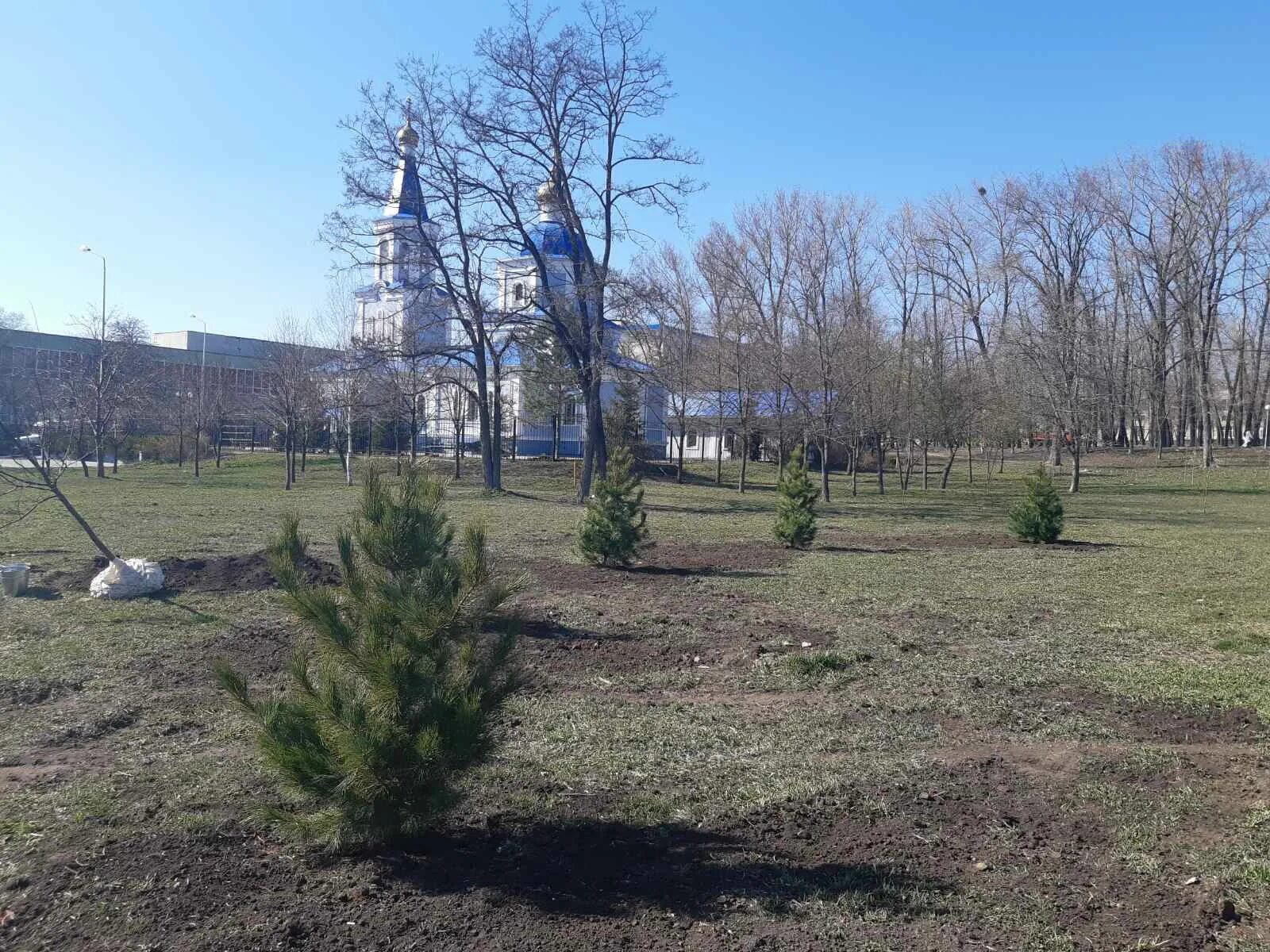 Парк памяти Гагарина Белгород. Парк в Белгороде в апреле. Сохраним деревья Белгородчины. Парк памяти белгород