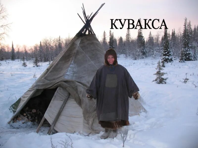 Кувакса. Жилище саамов кольского полуострова. Кувакса жилище саамов. Деревня саамов. Жилище саамов кольского полуострова кувакса.