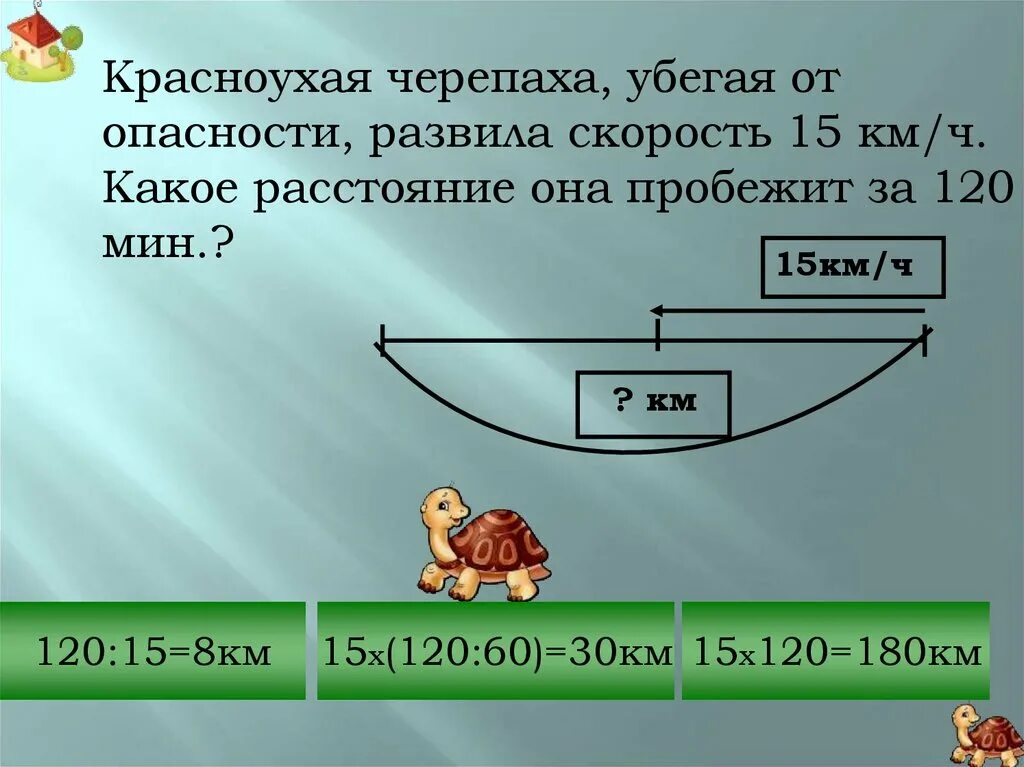 180 мин ч. Какую скорость развиваю черепахи. Скорость черепахи км/ч. Скорость черепахи на суше км/ч. Средняя скорость черепахи км/ч.