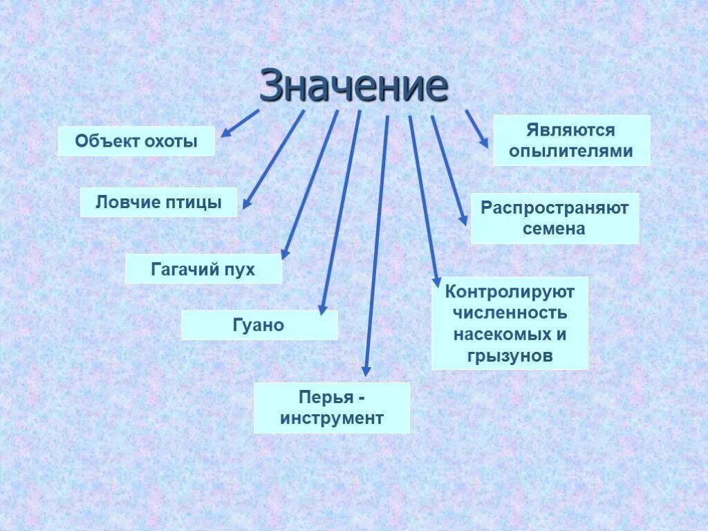 Значение птиц в природе и для человека. Значение класса птиц. Значение птиц в природе и жизни человека. Значение птиц в жизни человека. Многообразие и значение птиц в природе