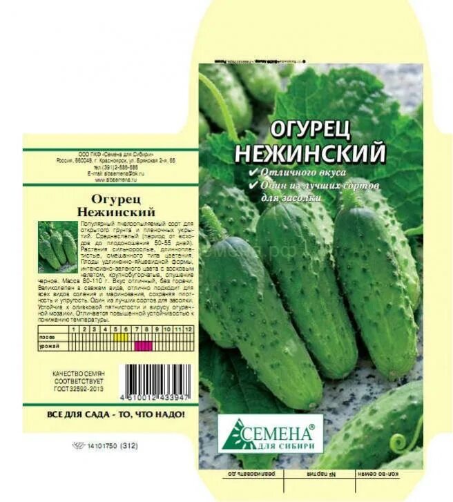 Огурец сорт нежинский. Сорт огурца нежинский описание отзывы. Сорт огурцов нежинский. Огурец сорт нежинский. Сорт огурца нежинский описание отзывы.