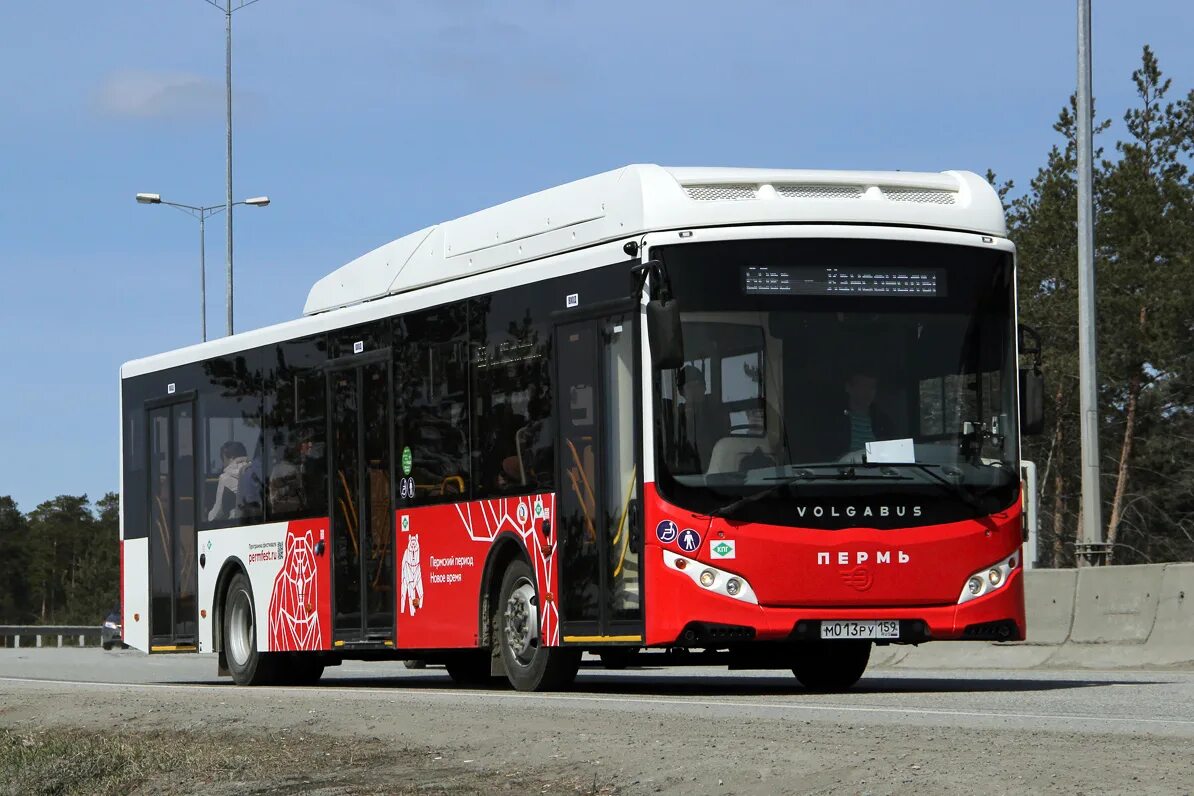 Автобус пермь 300. Автобус Волгабас 5270. Волгабус Пермь. Автобус Пермь Волгабас. Пермский автобус VOLGABUS.