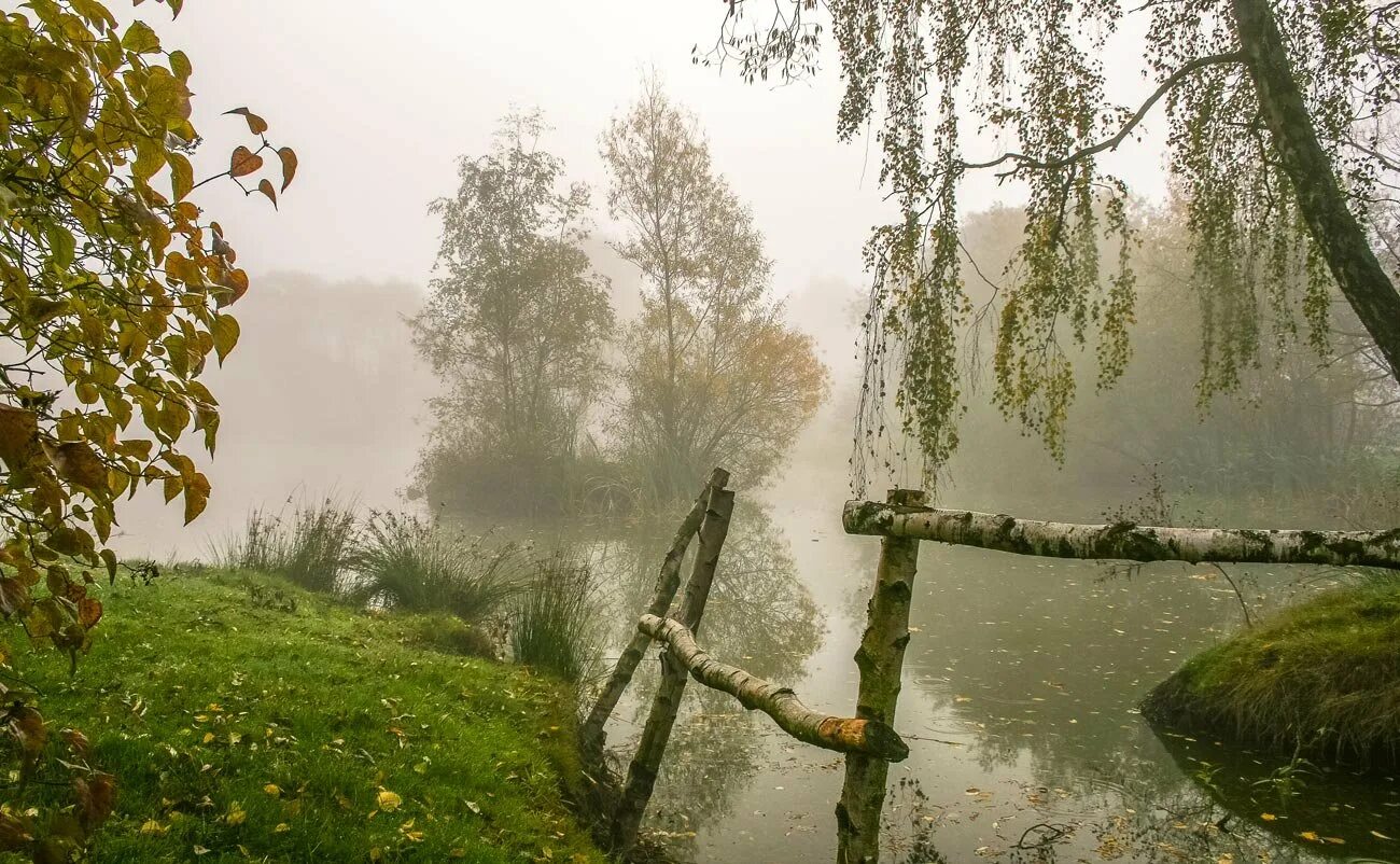 Стойбище осеннего тумана. Пасмурный дождливый день. Дождливый день природа. Пасмурная осень. Звонко звонко жить и