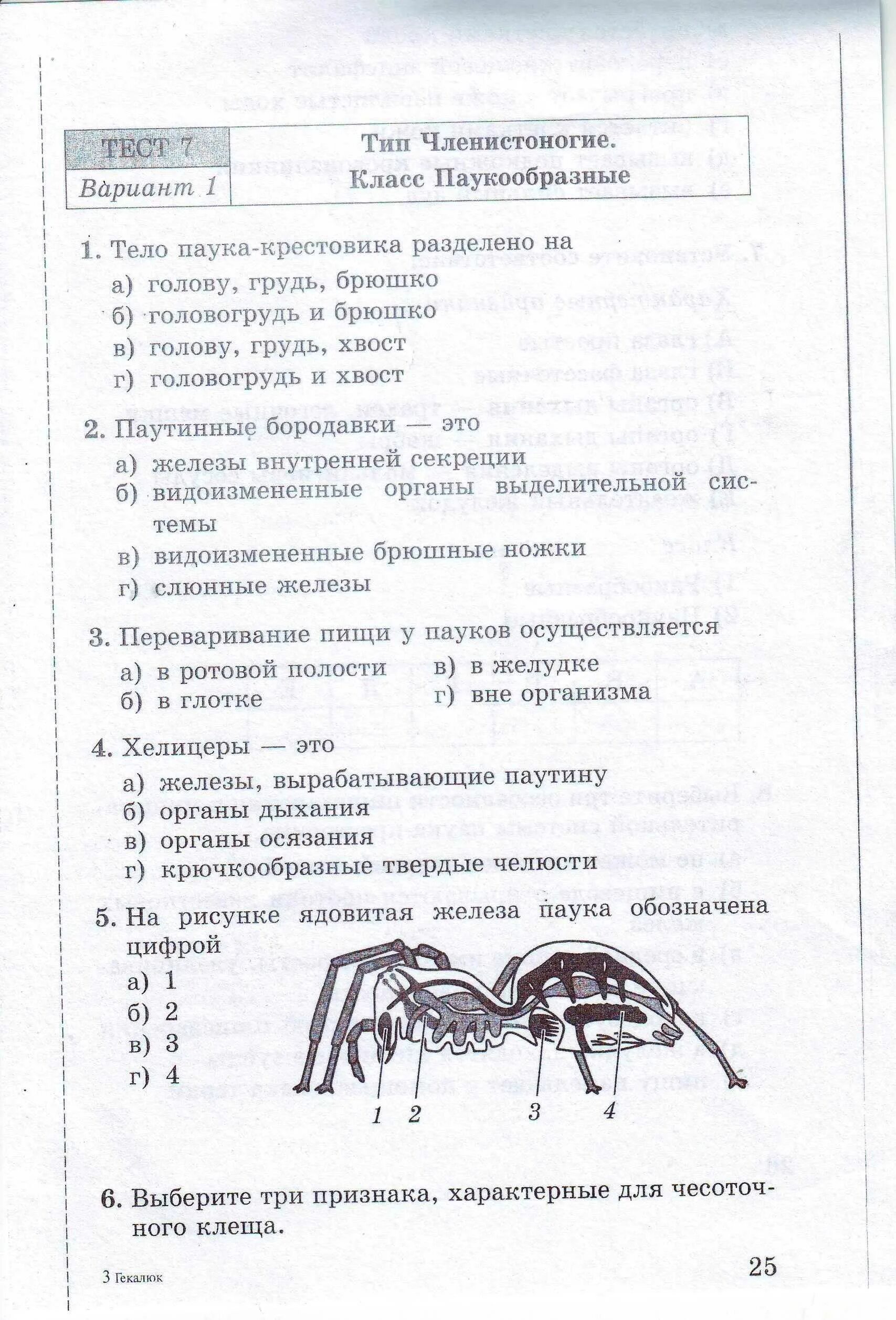 Контрольная работа по биологии 8 позвоночные животные. Паукообразные и ракообразные 7 класс биология тест. Тест 7 Тип Членистоногие класс паукообразные. Тесты по биологии 7 класс. Биология 7 класс тесты.