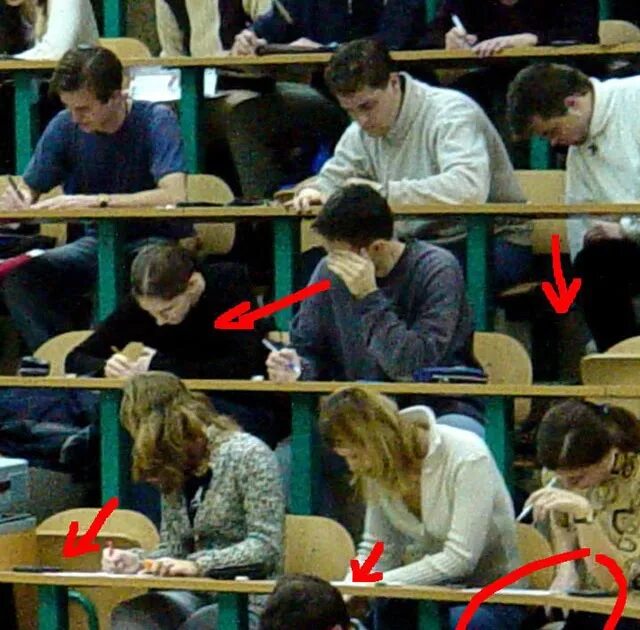 Писец подкрался незаметно прикол. Пролетели незаметно. Незаметно н. Песец подкрался. Списывает с телефона.