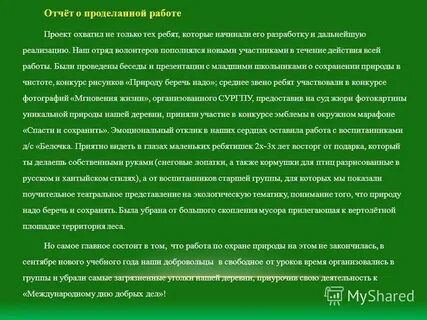 Отчет начался