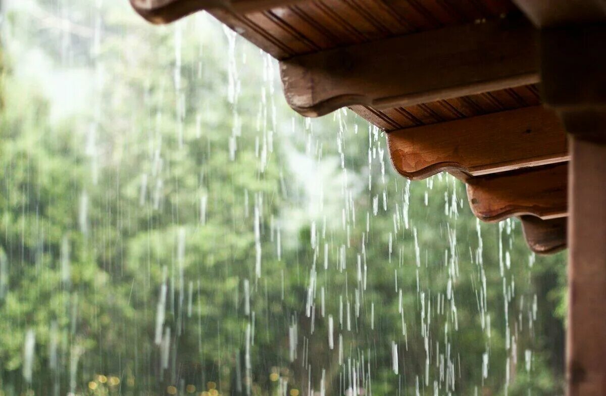 Детский шум дождя. Дождь. Дождь стеной. Дождевая струя. Мокрое дерево.