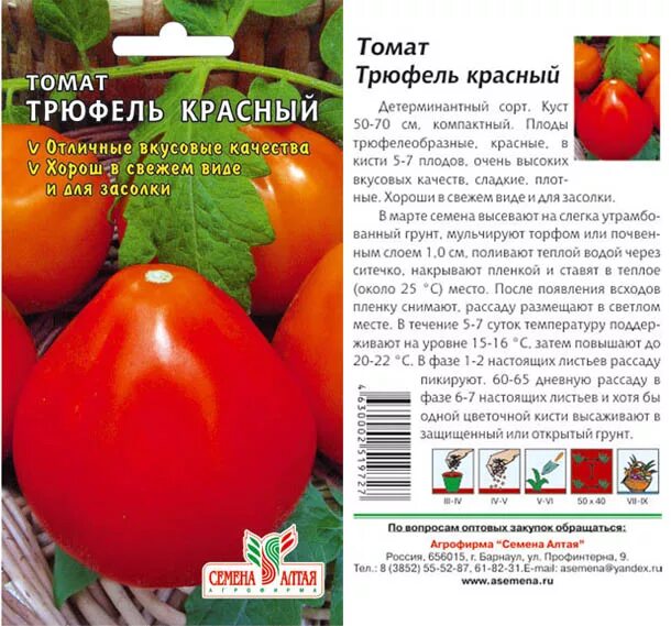 Трюфель томат описание и фото отзывы урожайность. Томат трюфель красный Сибирский сад. Сорт помидор трюфель красный. Томат трюфель характеристика и описание сорта. Томат красный трюфель Алтайские семена.