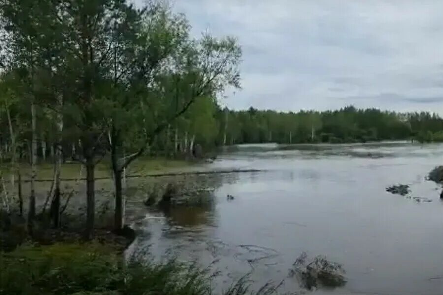 Поселок береговой Зейский район. Береговой Зейский район Амурская. Дорога на береговой Зейский район. Наводнение в Амурской области.