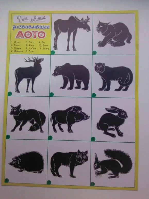 Тени диких животных для детей. Теневое лото для детей Дикие животные. Тени диких животных. Чья тень Дикие животные. Дикие животные тени для детей