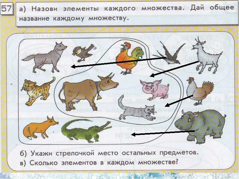 Перечислите элементы множеств. Назовите элементы множества. Назови элементы каждого множества дай название каждому множеству. Назови элементы каждого множества. Дай общее. Множество элементы множества изображение множеств