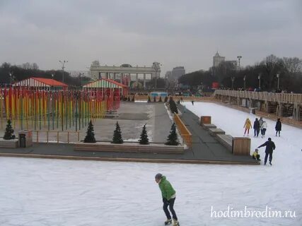 Каток в пушкине в парке