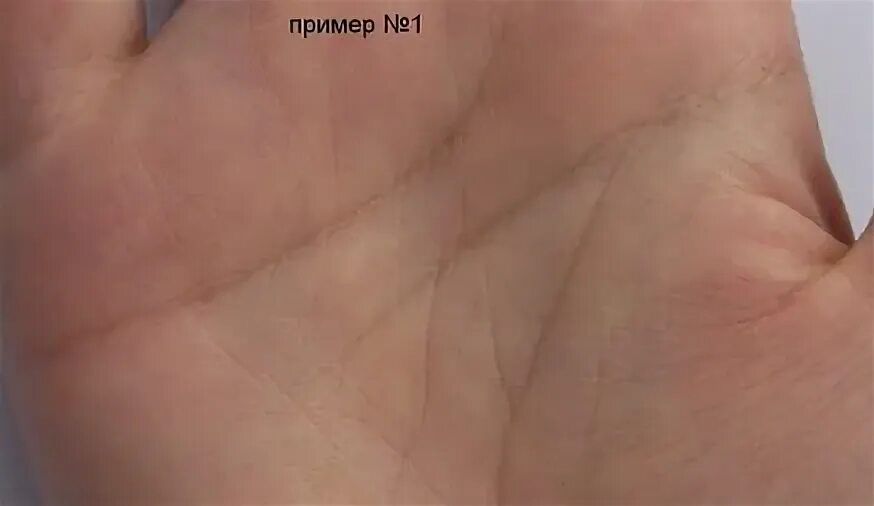 Браслеты на руке хиромантия значение у женщин. Пикник линии судьбы. Таро линии судьбы. Линия влияния на руке. Линия судьбы ы переплетается нитями с линией жизни косичкой.