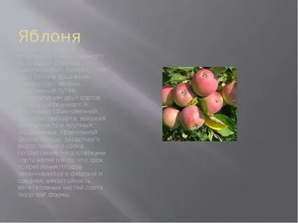 Яблоко какое семейство растений