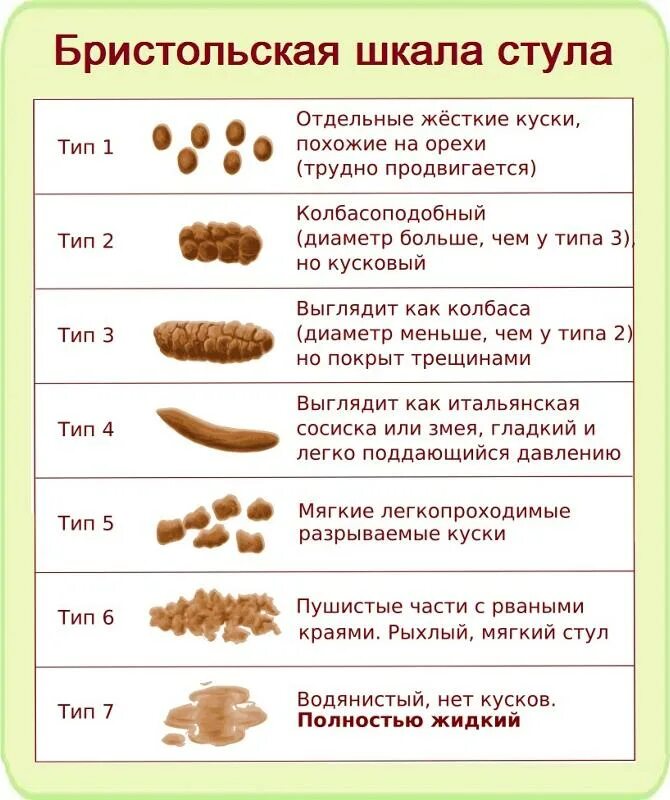 Шкала кала по бристольской шкале. Типы кала по Бристольской шкале. Бристольская шкала формы стула Тип 2.