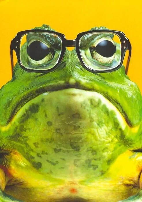 "Toad with big glasses" - image created in Shedevrum