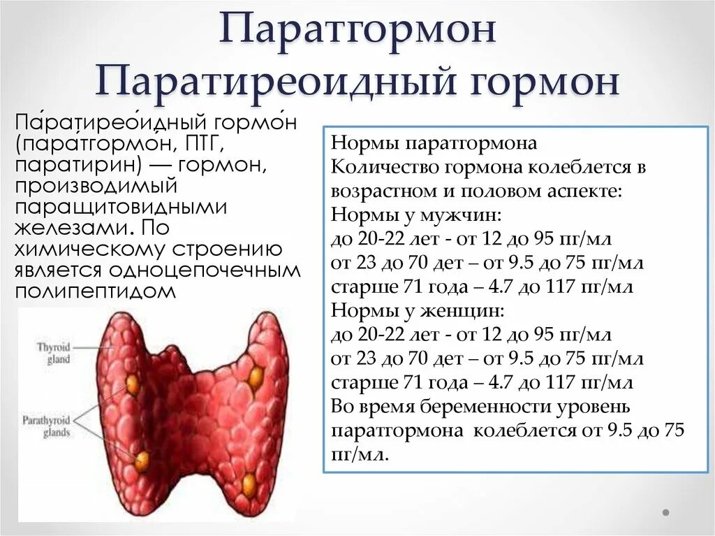 Изменения кальция в крови