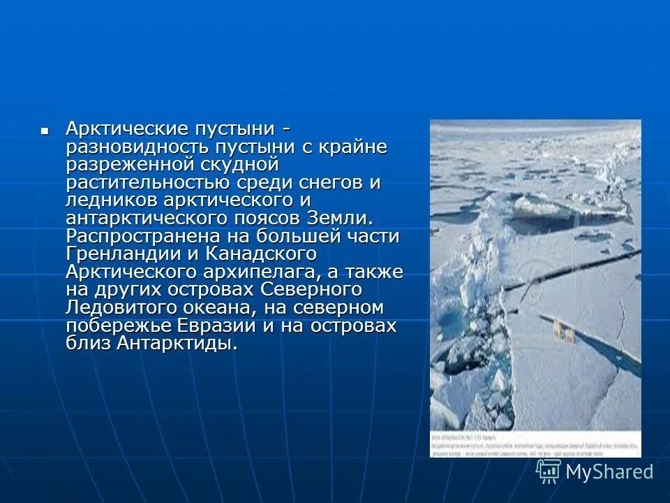 Природные зоны России.животный и растительный мир