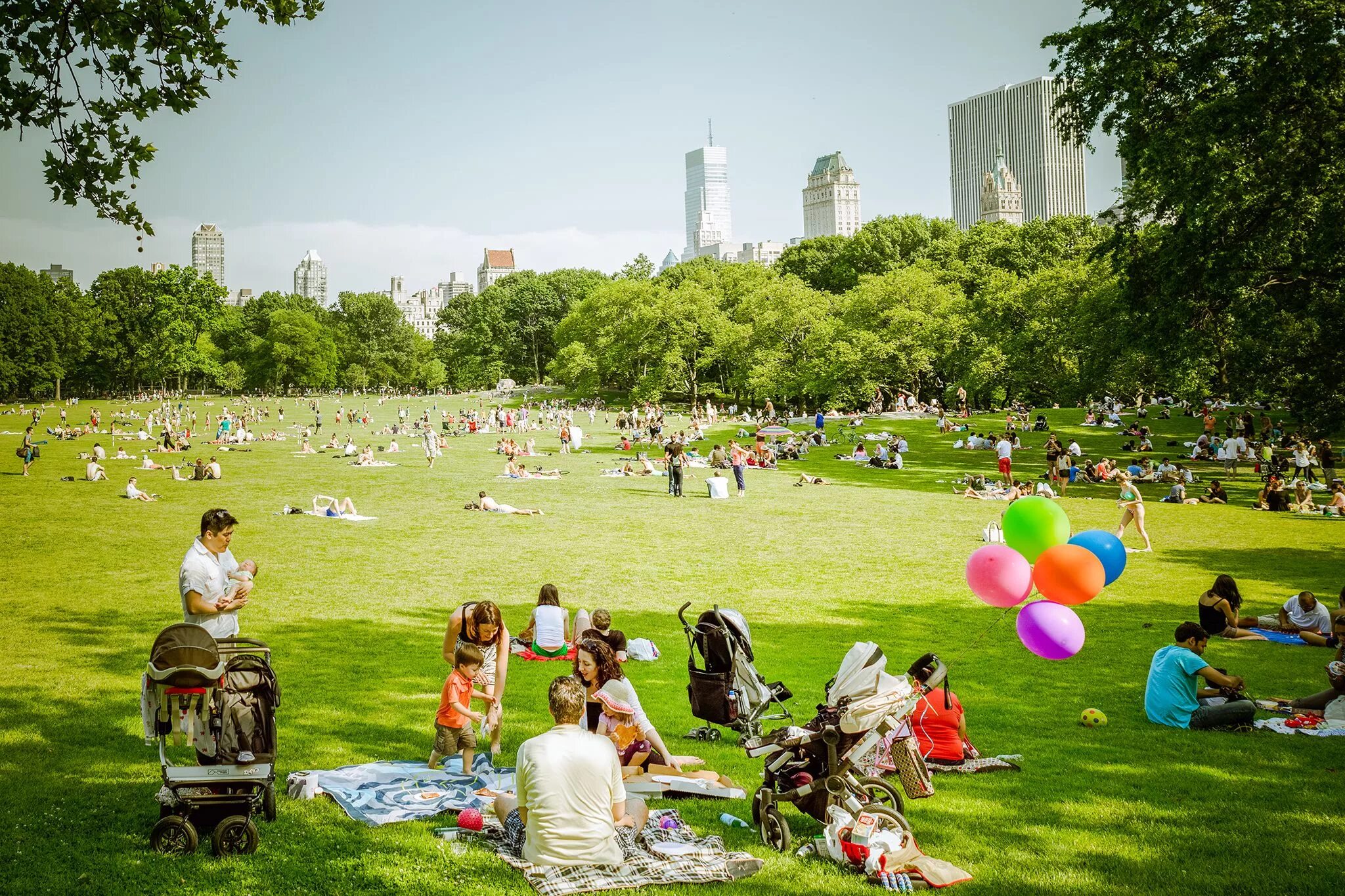 Park in. Центральный парк Нью-Йорк пикник. Централ парк Нью-Йорка газон. Большая лужайка в Центральном парке в Нью-Йорке. Парк США пикник на лужайке.