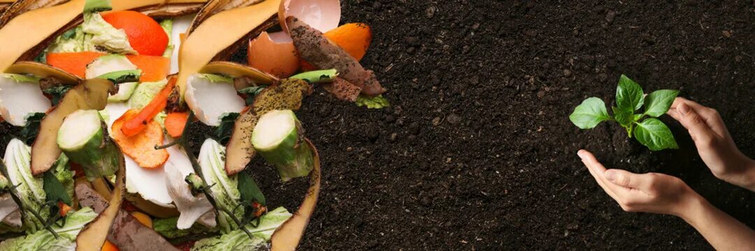 Composted wastes. Composted wastes