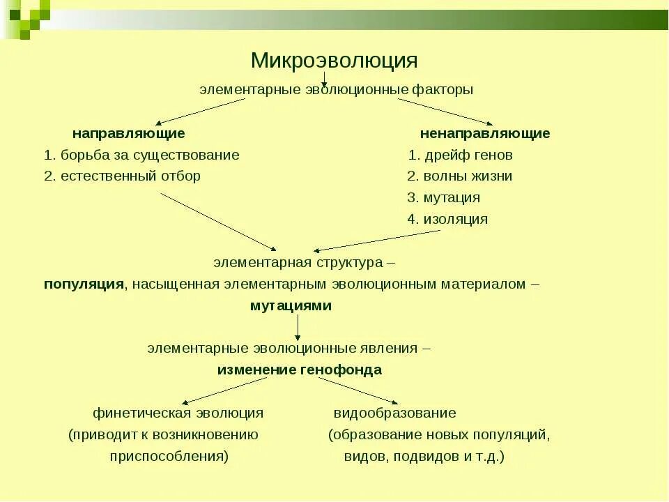 Элементарные эволюционные факторы изоляция. Микроэволюция. Микроэволюция виды образования. Элементарные эволюционные факторы. Микроэволюция материал для эволюционного процесса.