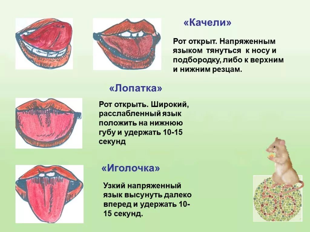 Артикуляционная гимнастика для расслабления языка. Упражнение артикуляционной гимнастики для рта и губ. Артикуляционная гимнастика рот.