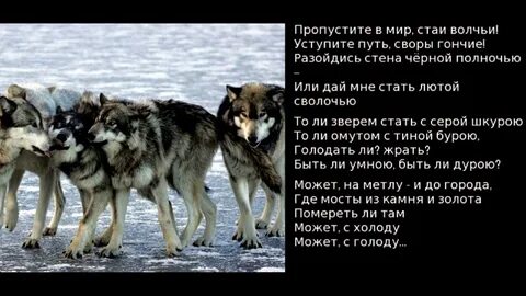 Пропусти мир