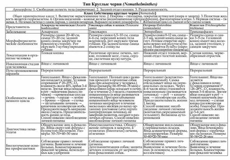 Характеристика червей плоские круглые кольчатые