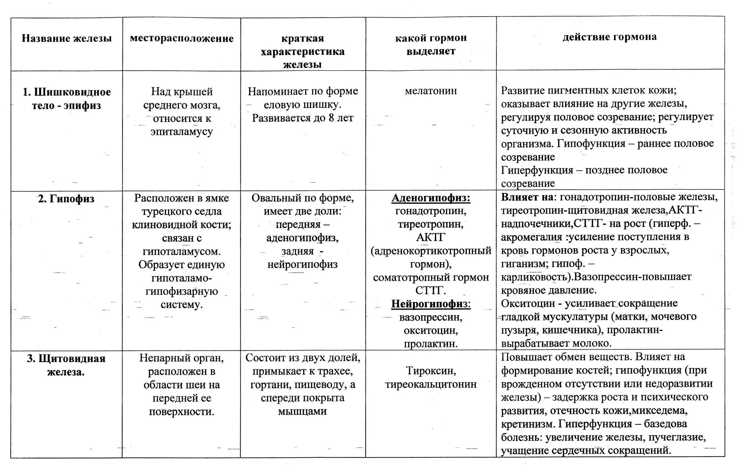 Таблица железы внутренней секреции и их функции. Таблица железы внутренней секреции 8 класс строение и функции. Железы внутренней секреции таблица 8 класс функции. Железы внутренней секреции строение и функции таблица. Таблица желез внутренней секреции 8 класс биология.