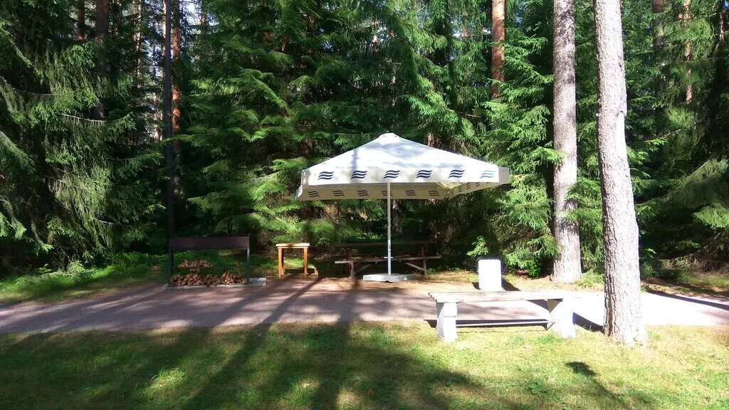 Территория активных игр полигон. Райвола-рощино.. райвола загородный отель в рощино. райвола план территории. полигон райвола территория активных.