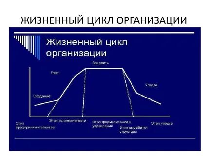 Концепция управления жизненным циклом