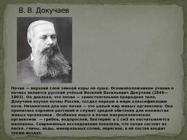 Докучаев назвал почву зеркалом природы. Докучаев почва. В.В. Докучаев (1846-1903). Основоположник учения о почвах.