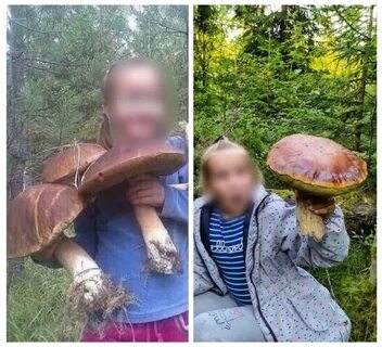 Нашел большой гриб