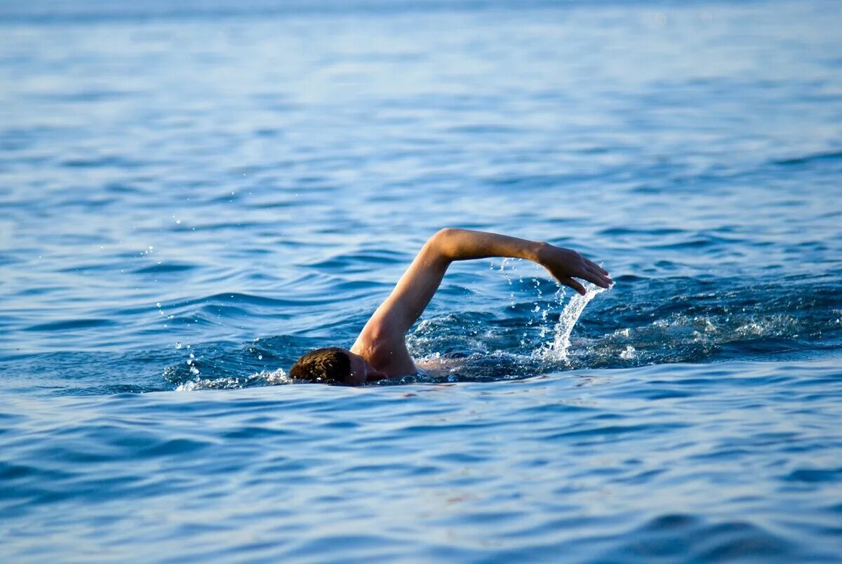 Организмы активно плавающие воде. Плавать в море. Человек плывет. Мужчина купается в море. Человек плавает.