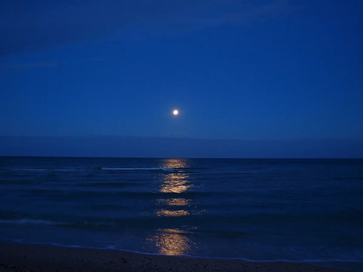 Картинки моря ночью. Лунная дорожка. Ночное море. Ночь в море. Ночной берег моря.