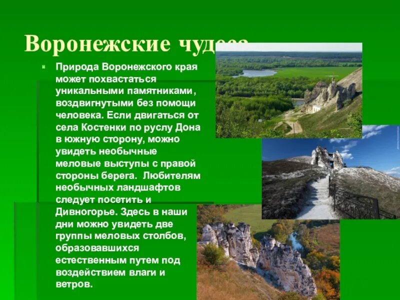 Если в твоем крае есть. Разнообразие природы Воронежского края. Памятники истории и природы Воронежского края. Природа Воронежского края презентация. Природные памятники Воронежского края.