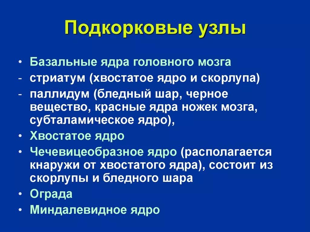 Подкорковые образования мозга