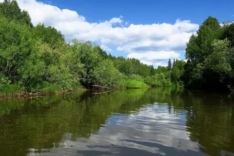 Визинга