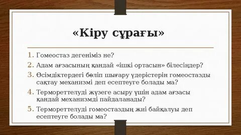 Порно режиссер ойыны