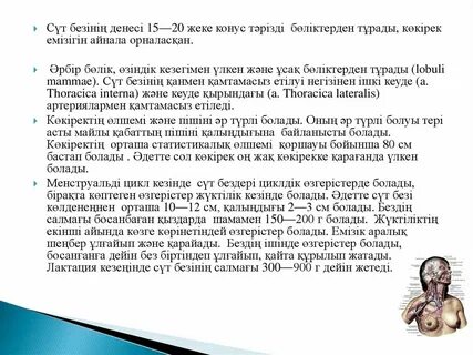 Студент еңкейіп қалды