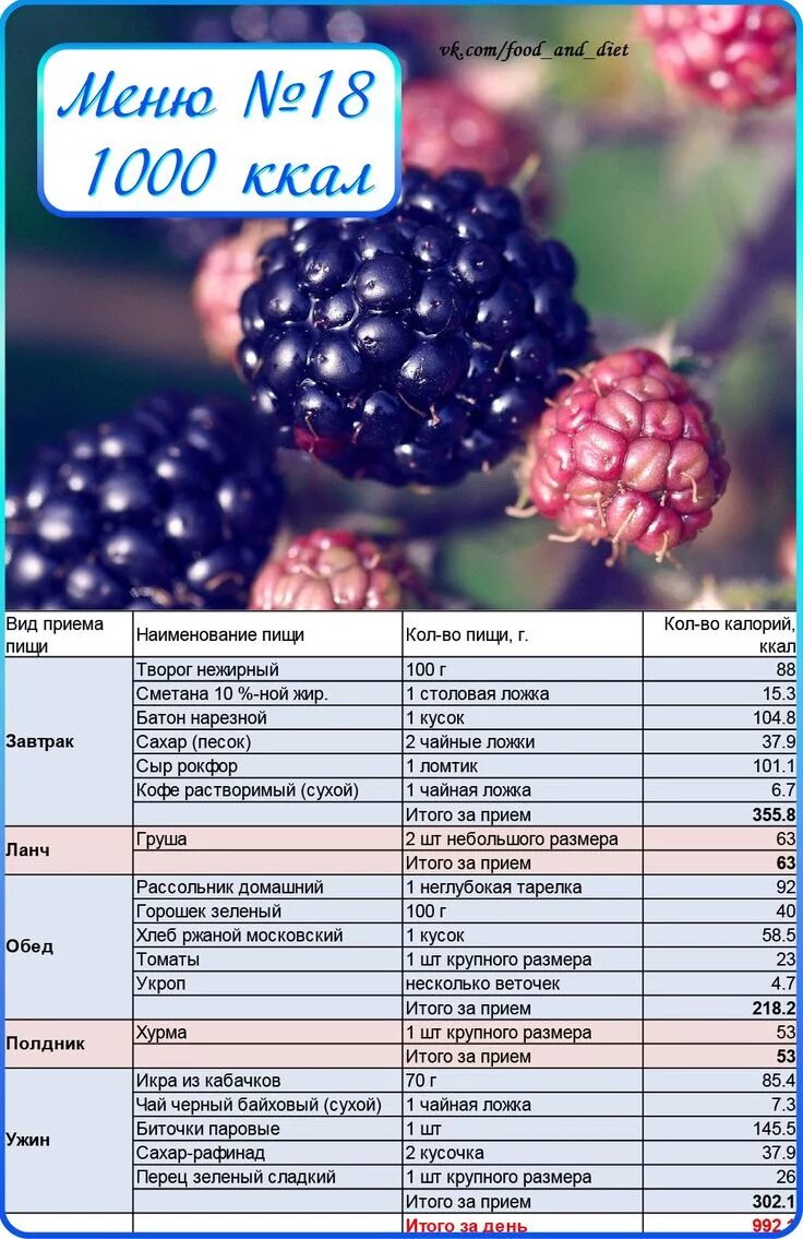 1000 на неделю рецепты. Меню на 1000 калорий. Рацион на 1000 калорий. Рацион на 1000 ккал. Диета на 1000 ккал в день.