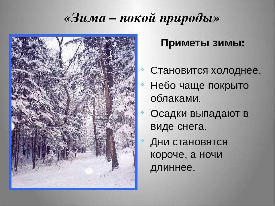 Описание зимы. Красивое описание зимы. Рассказ о зиме. Описание природы зимой.
