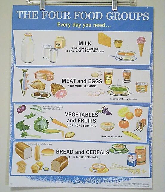 Food Groups. 4food. Food4you Fleyer. Food Groups 3 класс.