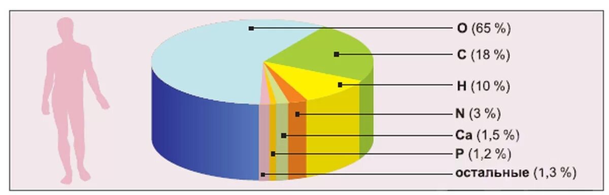 Элементы в теле человека. Распространённость химических элементов в человеческом организме. Химические элементы в организме человека график. Химические элементы в организме человека диаграмма.