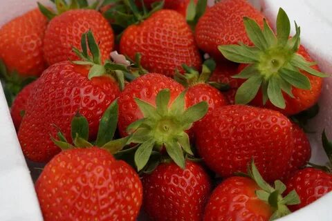 Free Fruit Strawberry photo and picture. 