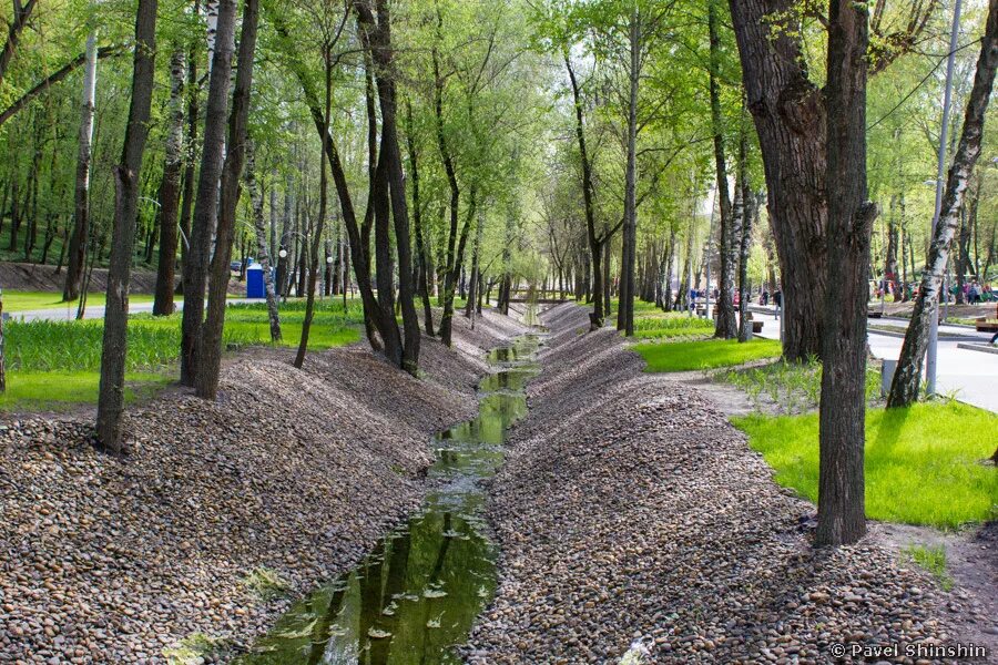 Парк Динамо Воронеж. Приморский парк в Воронеже. Правый берег Воронеж парк. Воронеж парк на реке.