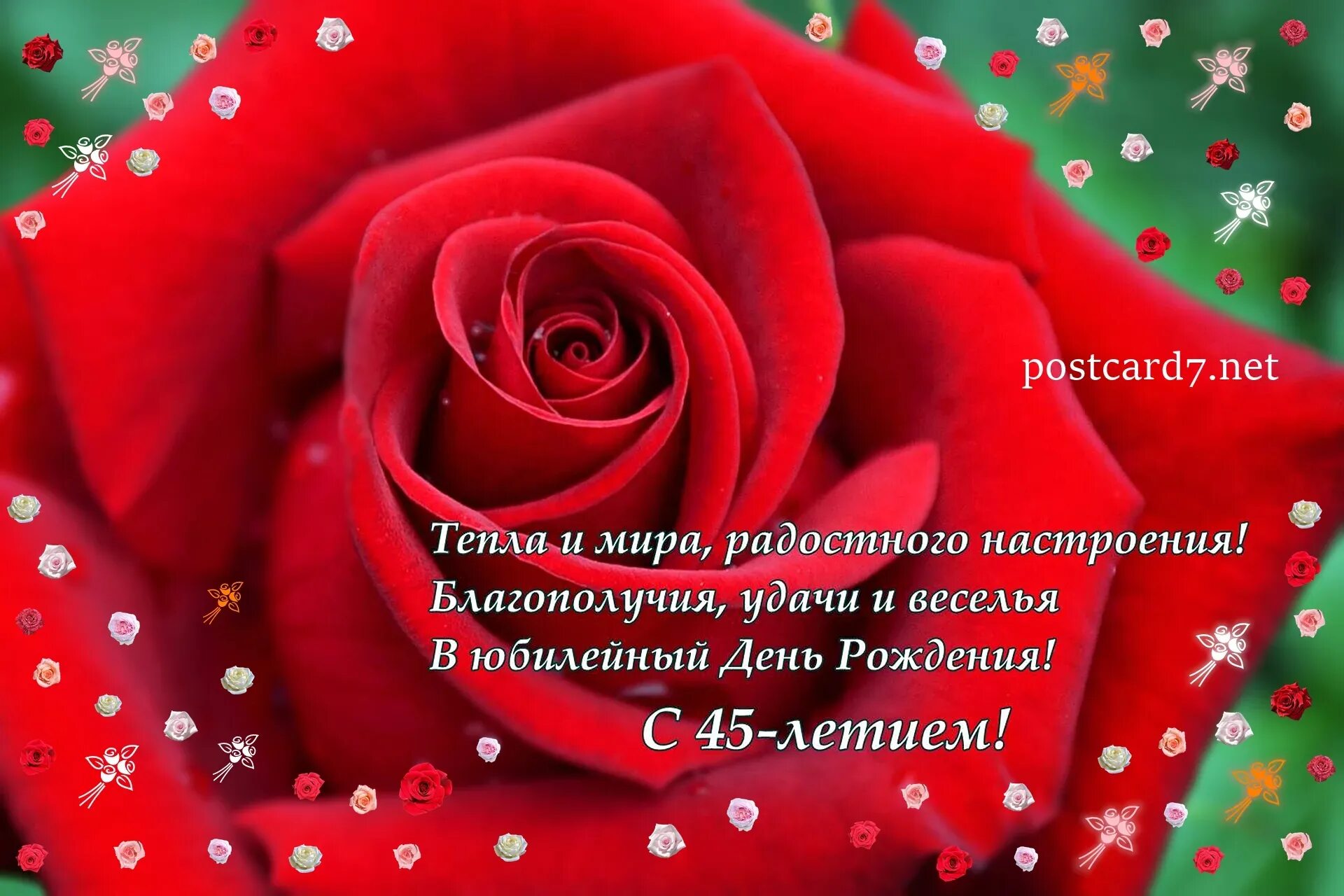 Подарок с поздравлением 45 женщине. 45 Лет женщине поздравления. С юбилеем 45 лет женщине. Поздравление с юбилеем 45 женщине. Поздравление с днём рождения женщине 45 лет.