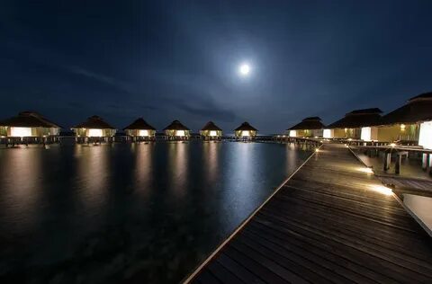 Island nights