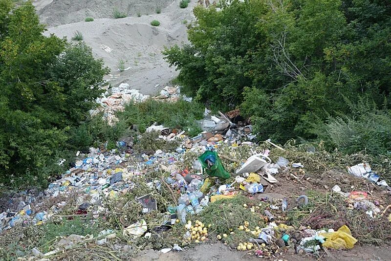 Свалка Барнаул. Полигон мусорный Алтай. Коллекционер свалка 2